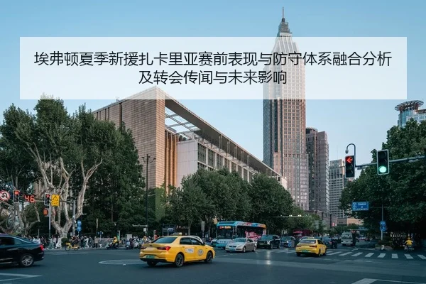 埃弗顿夏季新援扎卡里亚赛前表现与防守体系融合分析及转会传闻与未来影响