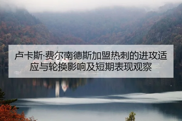 卢卡斯·费尔南德斯加盟热刺的进攻适应与轮换影响及短期表现观察