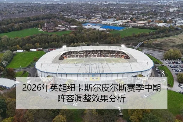 nian-ying-chao-niu-ka-si-er-pi-er-si-sai-ji-zhong-qi-zhen-rong-tiao-zheng-xiao-guo-fen-xi-2-854.jpg