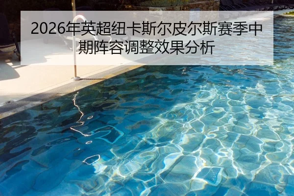 2026年英超纽卡斯尔皮尔斯赛季中期阵容调整效果分析