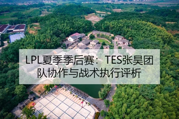 LPL夏季季后赛：TES张昊团队协作与战术执行评析